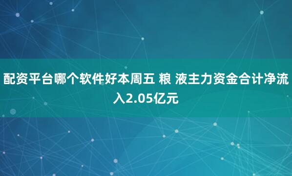 配资平台哪个软件好本周五 粮 液主力资金合计净流入2.05亿元