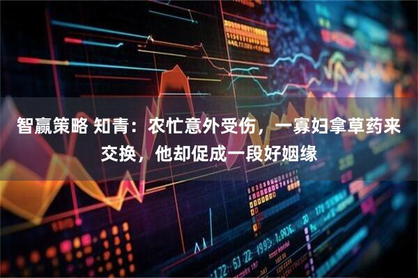 智赢策略 知青：农忙意外受伤，一寡妇拿草药来交换，他却促成一段好姻缘