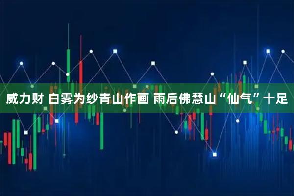 威力财 白雾为纱青山作画 雨后佛慧山“仙气”十足