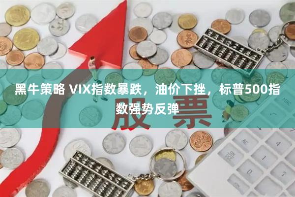 黑牛策略 VIX指数暴跌，油价下挫，标普500指数强势反弹