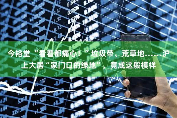 今裕堂 “看着都痛心！”垃圾带、荒草地……沪上大居“家门口的绿地”，竟成这般模样